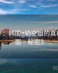 谜团解开：韩国g奶空姐的真相浮出水面 · 秘密3