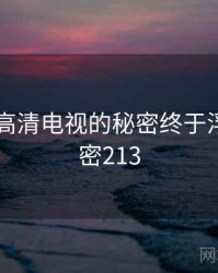 国产4k高清电视的秘密终于浮现 · 秘密213
