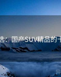 网友评选：国产SUV精品的十大经典