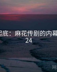 隐情大起底：麻花传剧的内幕 · 秘密624