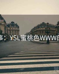 暗中故事：YSL蜜桃色WWW的另一面