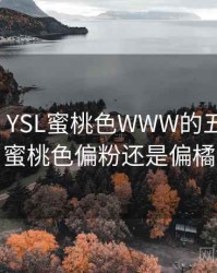 排行榜：YSL蜜桃色WWW的五大看点，蜜桃色偏粉还是偏橘