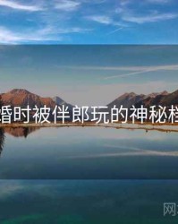 关于结婚时被伴郎玩的神秘档案曝光