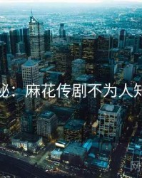 独家揭秘：麻花传剧不为人知的一面