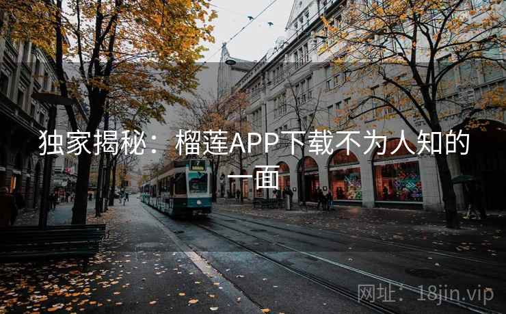 独家揭秘：榴莲APP下载不为人知的一面