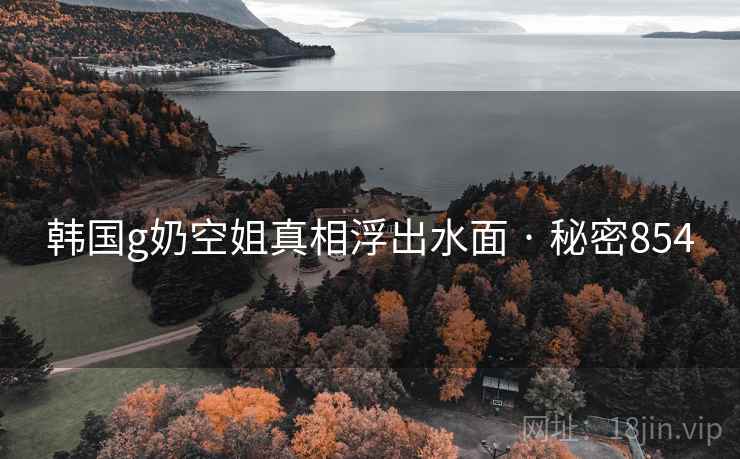 韩国g奶空姐真相浮出水面 · 秘密854